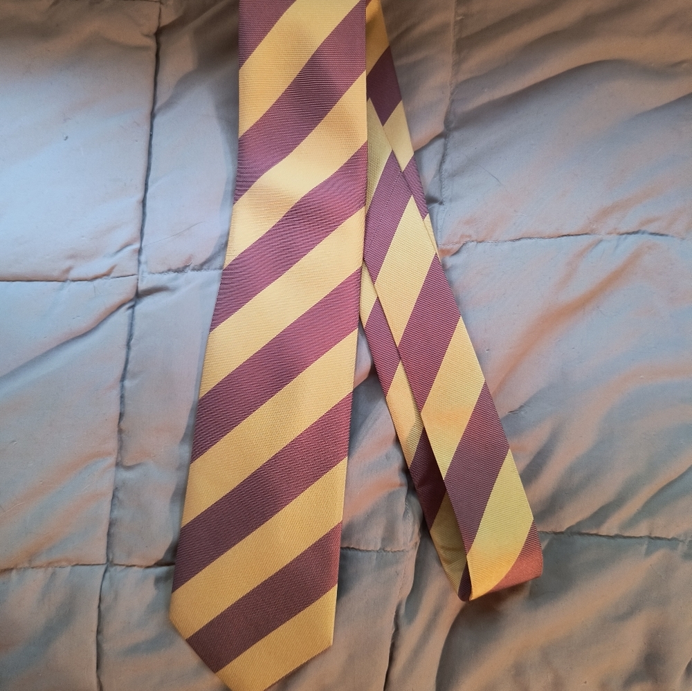 100% Silk Tie. Wild Ties. Perfect for any occasion.